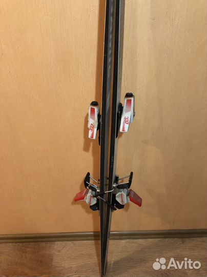 Горные лыжи