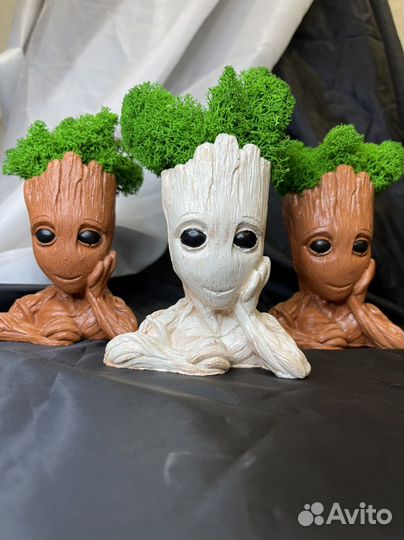 Грут с стабилизированным мхом