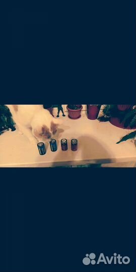 Книги. Алкалиновы батарейки