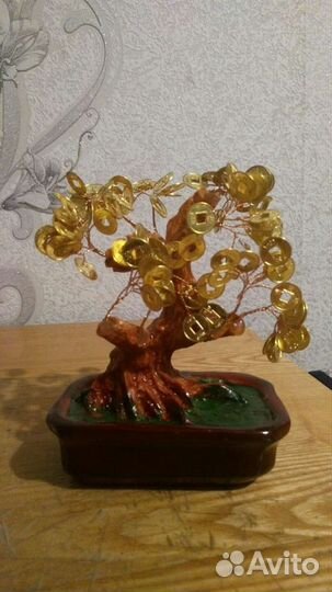 Денежное дерево