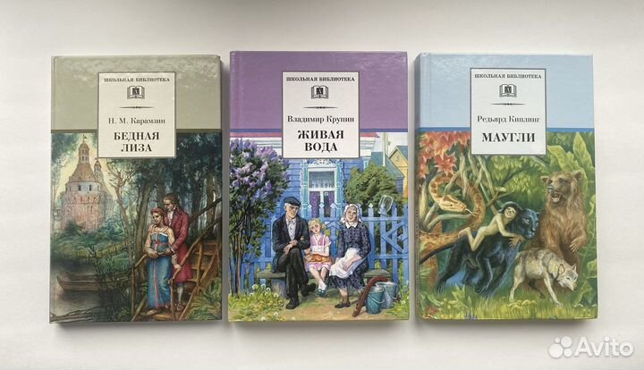 Книги. Школьная библиотека. Классика