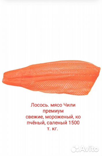 Живые раки, мидии, креветка