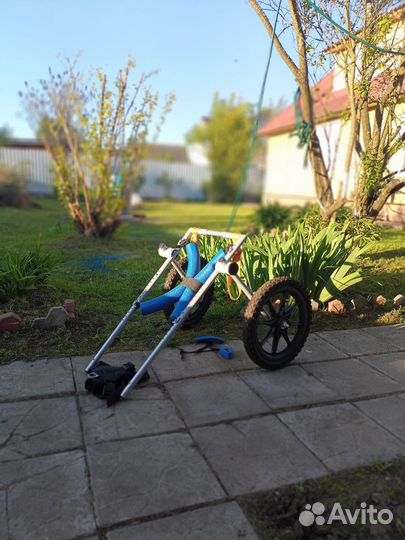 Бронь. Инвалидная коляска для собак. Для овчарок