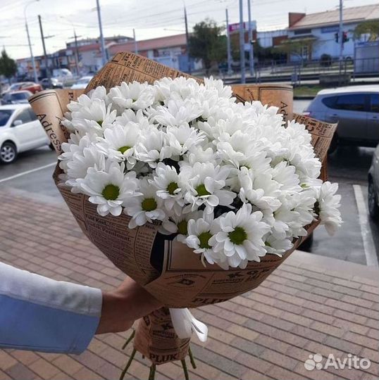 Хризантема Букет хризантем Доставка