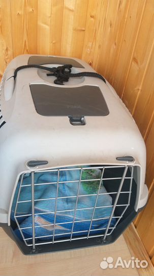 Переноска большая прокат