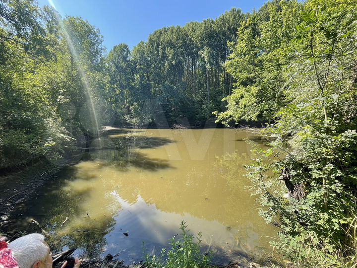 Участок 1,25 га (СНТ, ДНП)