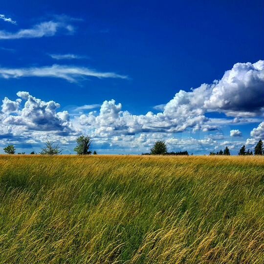 Дача 60 м² на участке 3 сот.