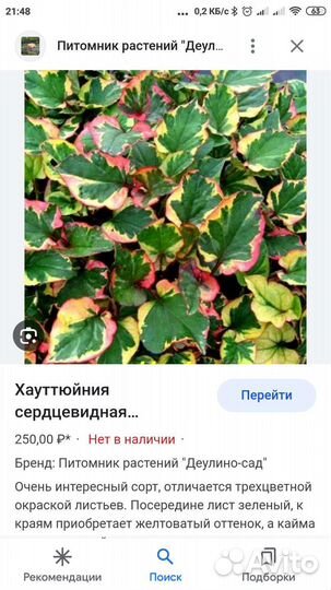 Садовые многолетники