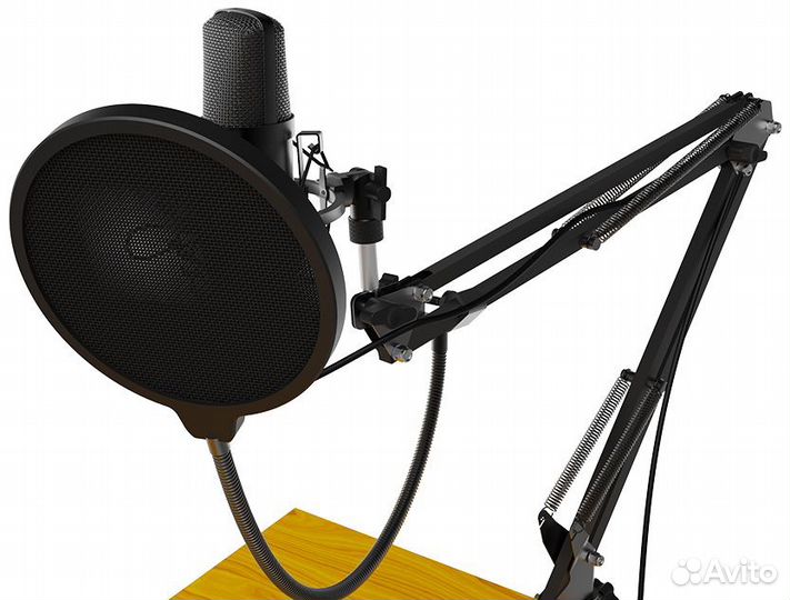 Микрофон Ritmix RDM-169 USB Black