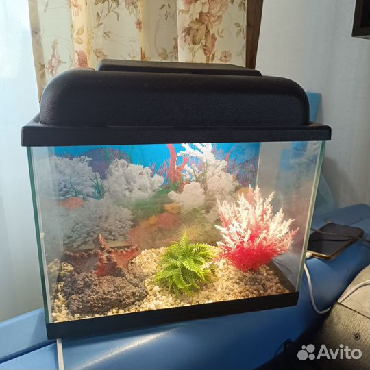 Аквариум с фильтром и светом
