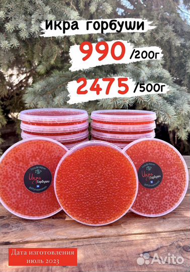 Икра красная горбуши 2023