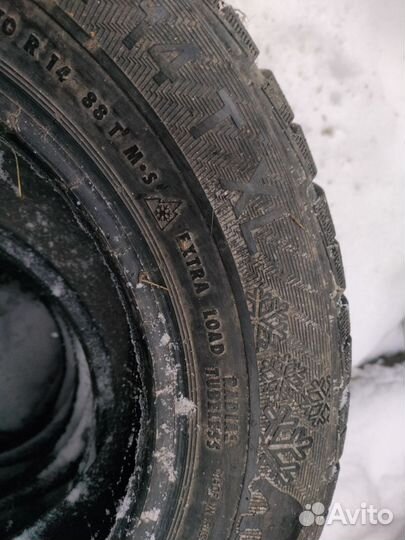 Gislaved NordFrost 100 175/70 R14