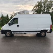 FIAT Ducato 2.3 MT, 2010, 394 368 км, с пробегом, цена 780 000 руб.