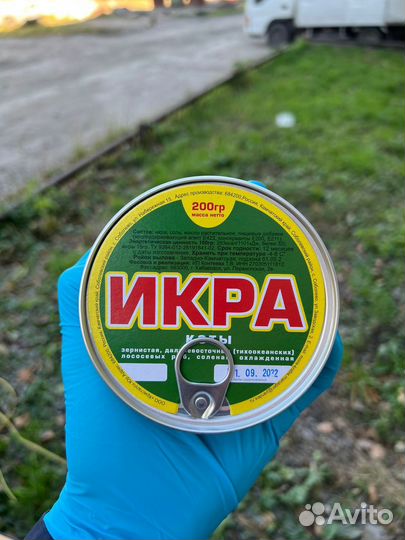 Икра красная - 2023 фасовка