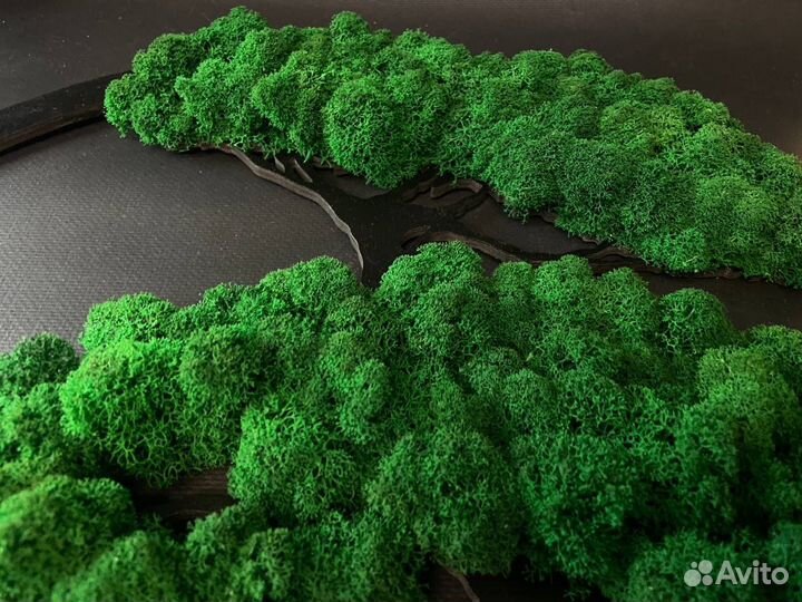 Панно с стабилизированным мхом