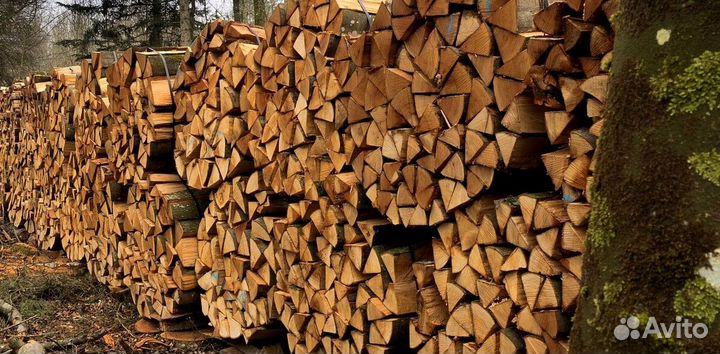 Дрова чистые