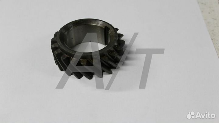 Шестерня коленчатого вала малая 240 1005030 А1