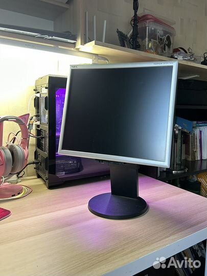 Монитор NEC MultiSync LCD1770NX