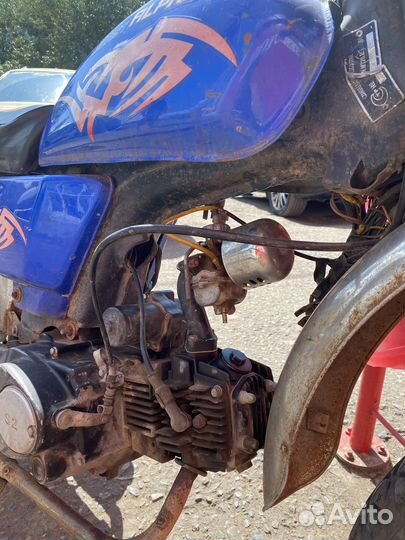 Альфа Турист