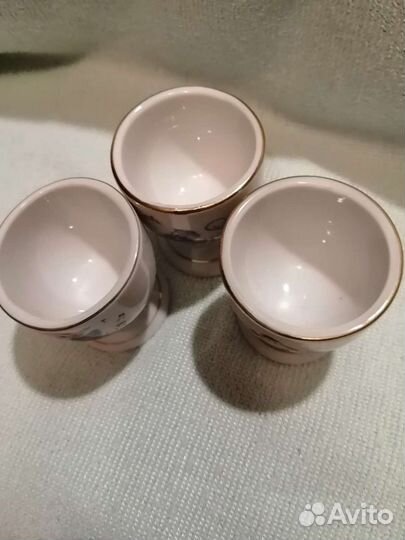 Пашотницы гдр