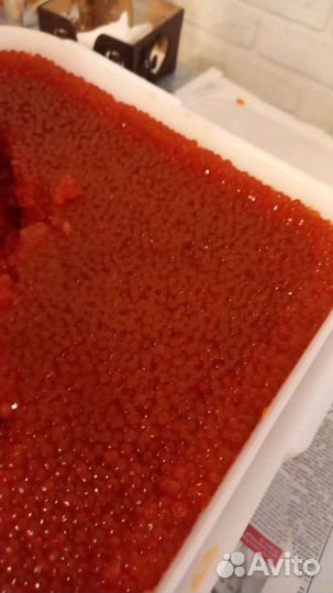 Икра Горбуши