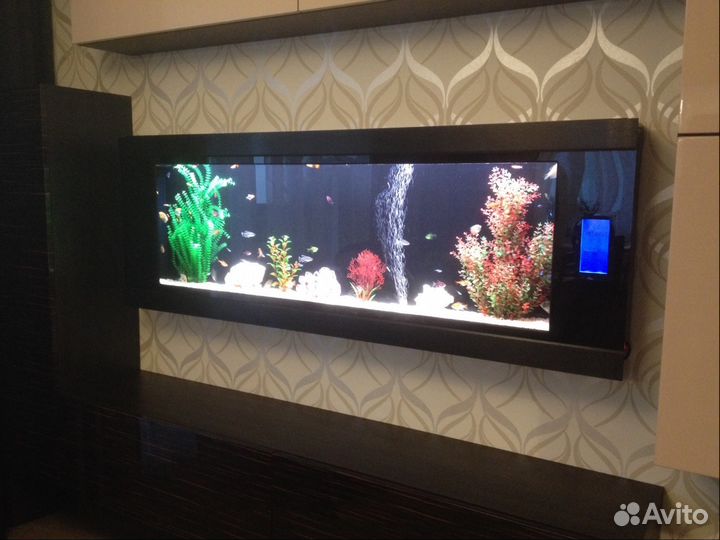 Обслуживание, установка, перевозка аквариума