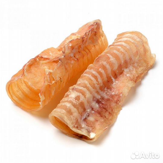 Лакомства для собак - вкусняшки для собак