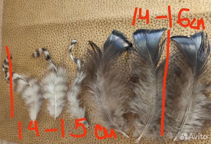 Перья набор для творчества