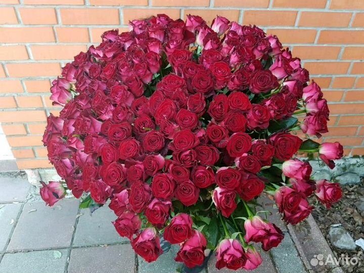 Продаём оптом цветы,экзотика, Эквадор,Армения,Гол