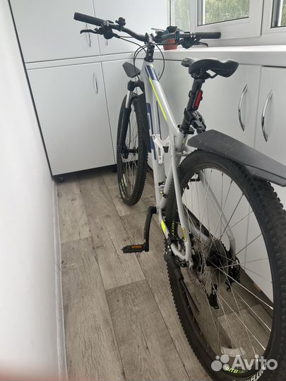 Gt Avalanche 29 comp 2019