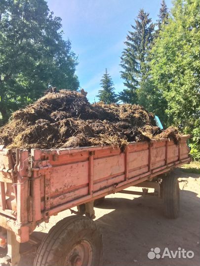 Навоз бесплатно