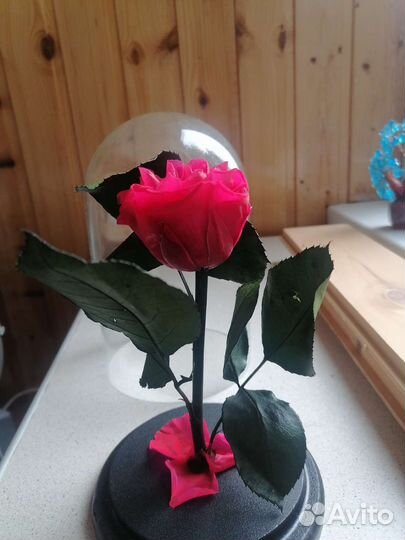 Роза в колбе