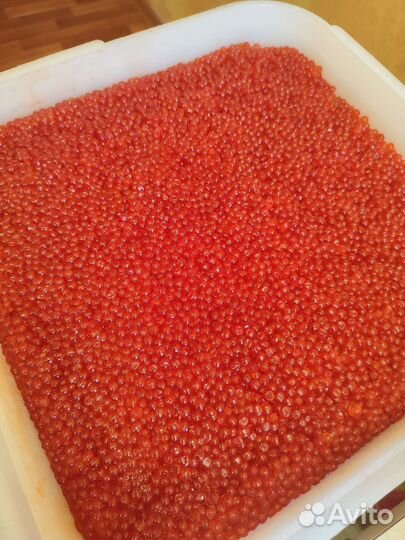 Красная икра 2023