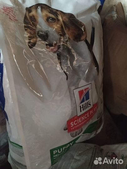 Корм для собак и кошек