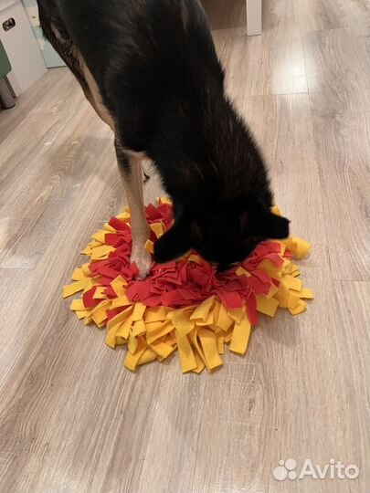 Развивающий 