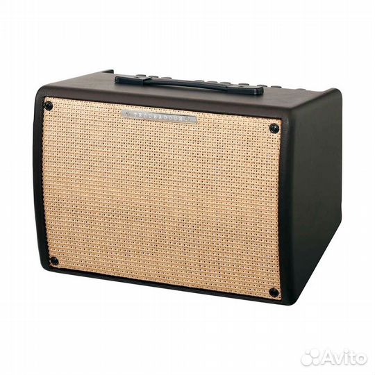 Комбо усилитель для акустической гитары Ibanez T30