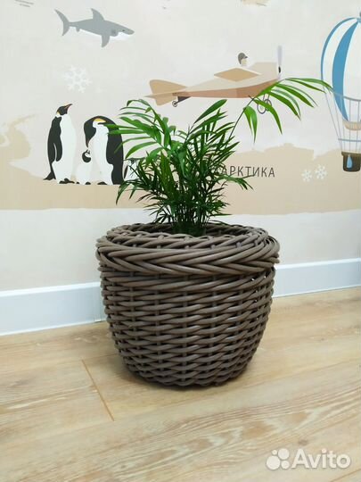 Кашпо из ротанга