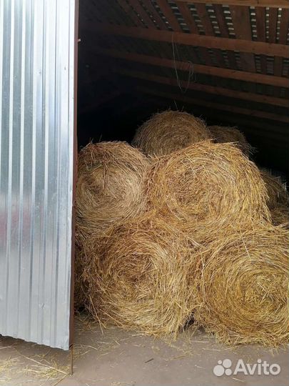 Сено в тюках, Вика-овсяная смесь