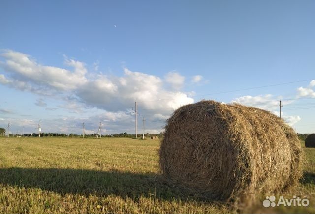 Сено в рулонах