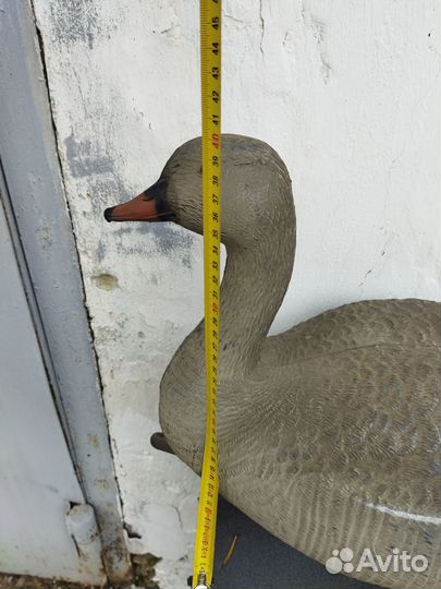 Чучело гуся(Италия)