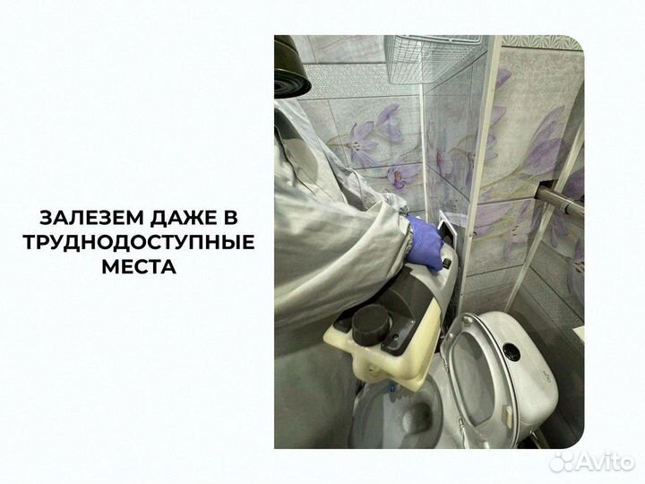 Уничтожение паразитов с гарантией под ключ