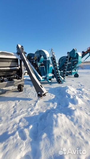 Сортировка зерна овс-25