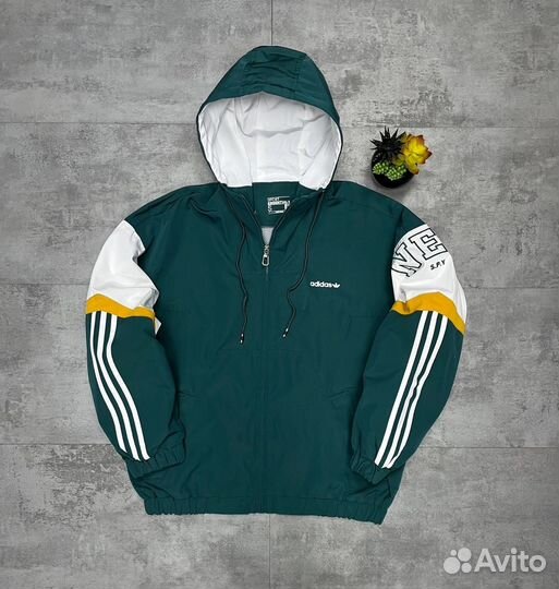 Вeтpoвкa мужская