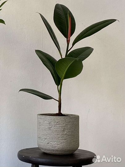 Вазоны для цветов из бетона