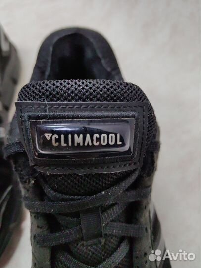 Кроссовки adidas climacool