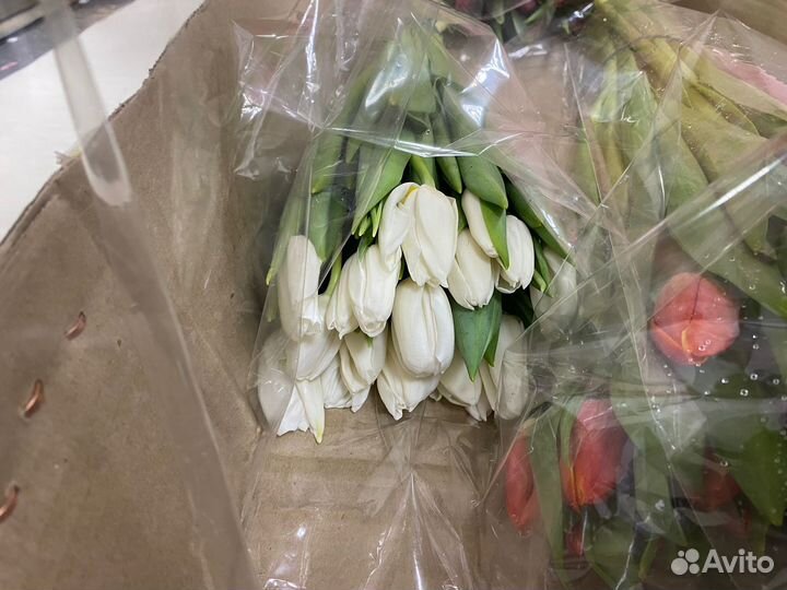 Тюльпаны опт цветы букеты