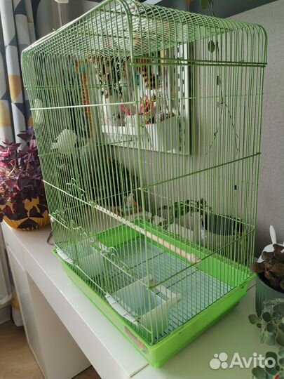 Большая клетка для птиц