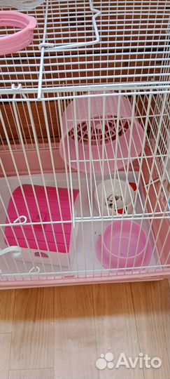 Клетка для грызунов