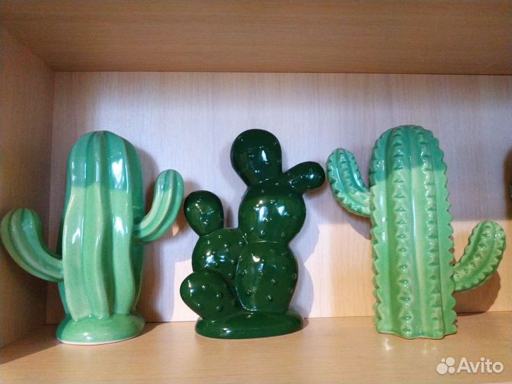 Кактусы керамические