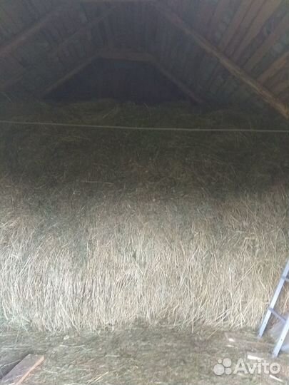 Луговое сено